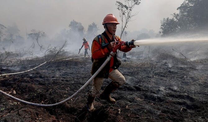 Mengapa Karhutla Kalimantan Sulit Dipadamkan? Ini Alasannya