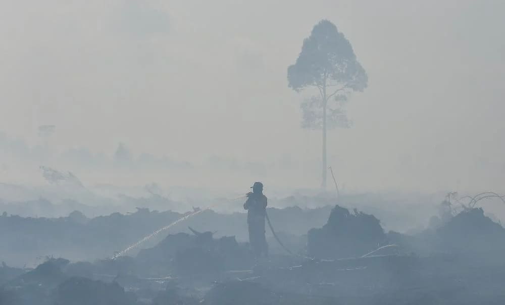 Operasional Bandara SSK II Pekanbaru Berjalan Lancar, Jarak Pandang Capai 5.000 Meter